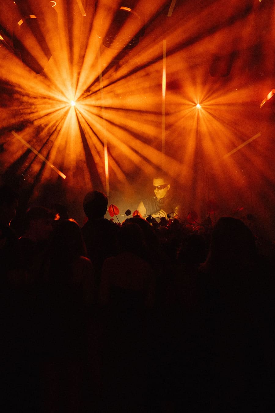 Session con DJ Wildness Rose 08 Session con DJ Wildness Rose 08