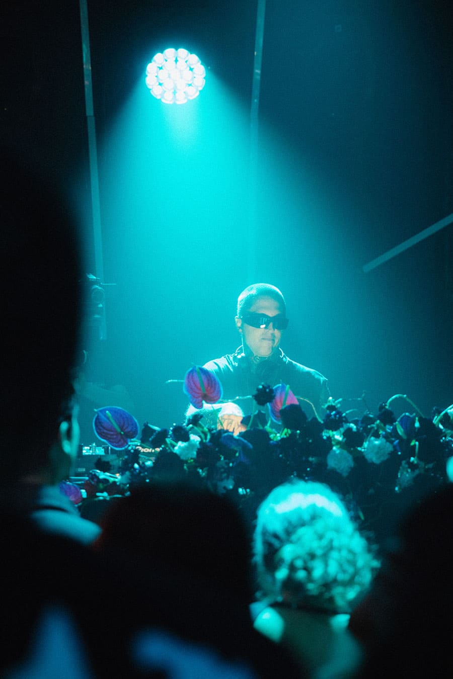 Session con DJ Wildness Rose 33 Session con DJ Wildness Rose 33