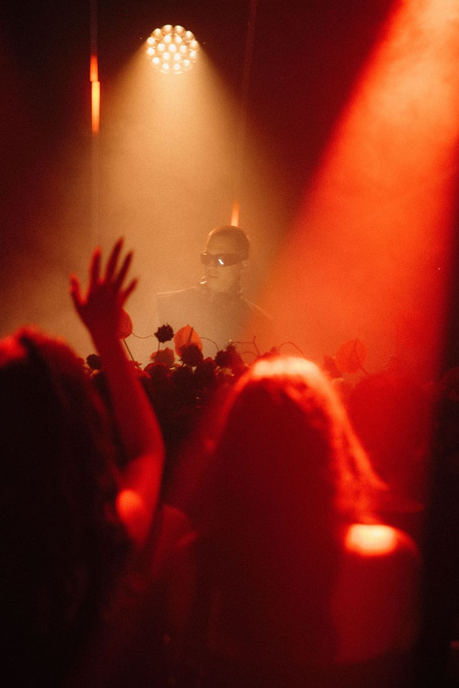 Session con DJ Wildness Rose 34 Session con DJ Wildness Rose 34