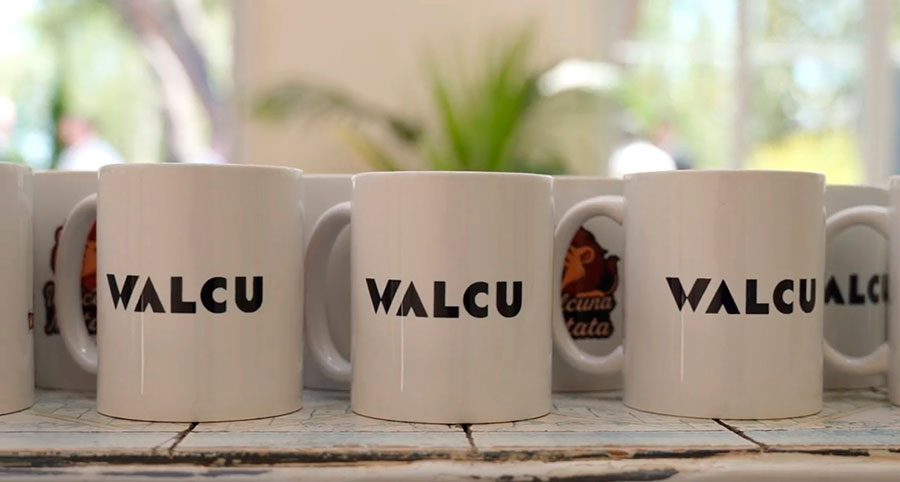 WalcuParty anual en Villa Laureana evento Walcu Madrid 16 WalcuParty anual en Villa Laureana evento Walcu Madrid 16